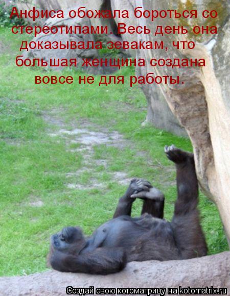 Анфиса обожала бороться со стереотипами. Весь день она доказывала зевакам, что большая женщина созд... Котоматрица: Анфиса обожала бороться со стереотипами. Весь день она доказывала зевакам, что большая женщина создана вовсе не для работы.