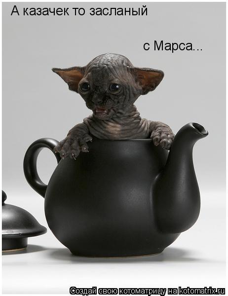 А казачек то засланый с Марса...... Котоматрица: А казачек то засланый с Марса...
