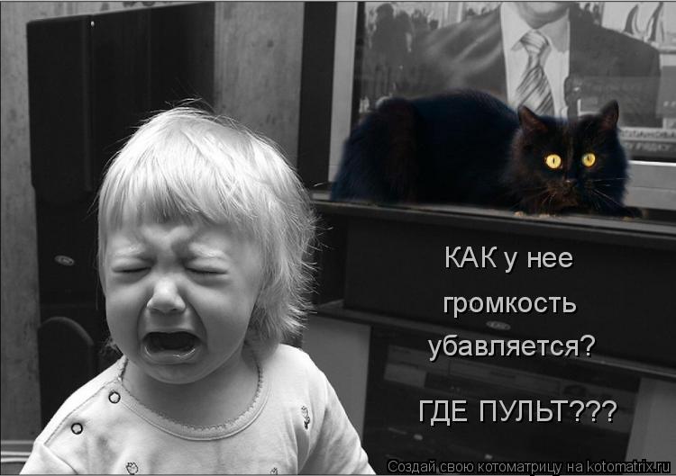 Котоматрица: КАК у нее громкость убавляется? ГДЕ ПУЛЬТ???