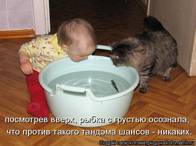 Котоматрица: посмотрев вверх, рыбка с грустью осознала,  что против такого тандэма шансов - никаких.
