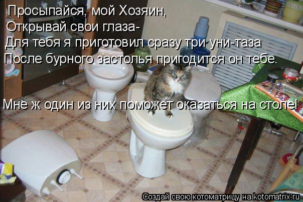 Просыпайся, мой Хозяин, Открывай свои глаза- Для тебя я приготовил сразу три уни-таза После бурного з... Котоматрица: Просыпайся, мой Хозяин, Открывай свои глаза- Для тебя я приготовил сразу три уни-таза После бурного застолья пригодится он тебе. Мне ж один и
