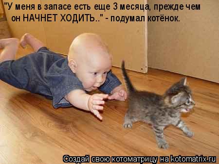 "У меня в запасе есть еще 3 месяца, прежде чем он НАЧНЕТ ХОДИТЬ.." - подумал котёнок.... Котоматрица: "У меня в запасе есть еще 3 месяца, прежде чем он НАЧНЕТ ХОДИТЬ.." - подумал котёнок.
