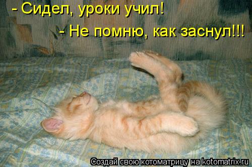 - Сидел, уроки учил! - Не помню, как заснул!!!... Котоматрица: - Сидел, уроки учил! - Не помню, как заснул!!!