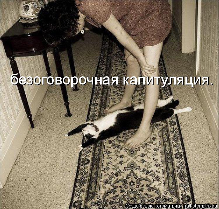 безоговорочная капитуляция.... Котоматрица: безоговорочная капитуляция.