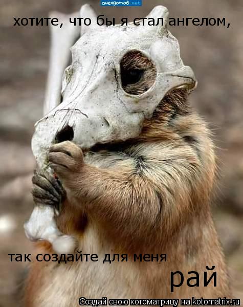 Котоматрица: хотите, что бы я стал ангелом, так создайте для меня рай