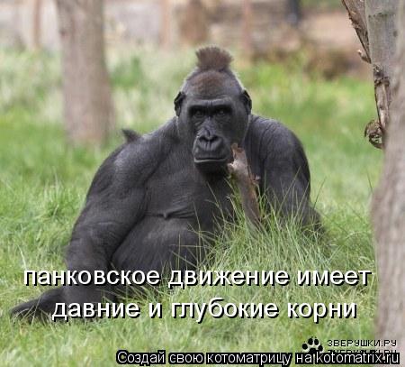 панковское движение имеет давние и глубокие корни... Котоматрица: панковское движение имеет давние и глубокие корни