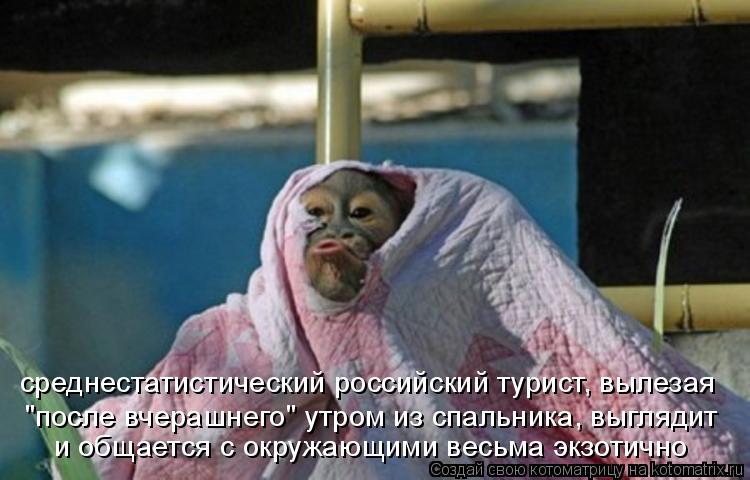 Котоматрица: "после вчерашнего" утром из спальника, выглядит весьма экзотично7 и общается с окружающими весьма экзотично "после вчерашнего" утром из спа