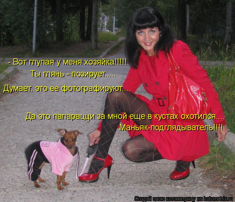 Котоматрица: - Вот глупая у меня хозяйка!!!!! Ты глянь - позирует..... Думает, это ее фотографируют.... Да это папарацци за мной еще в кустах охотился.... Маньяк-п