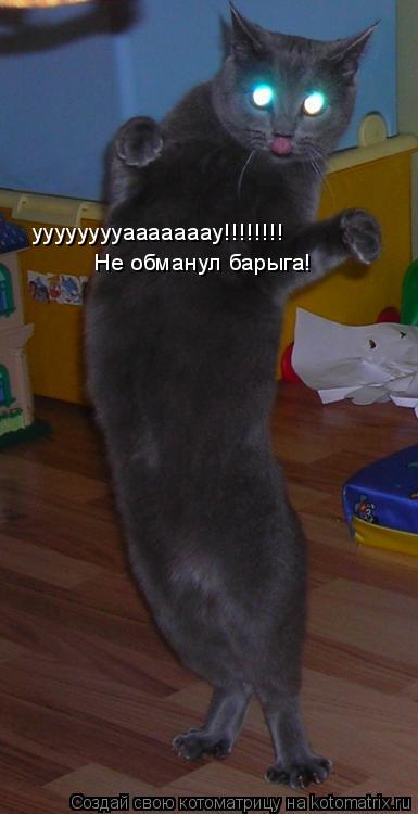 Котоматрица: ууууууууааааааау!!!!!!!! Не обманул барыга!