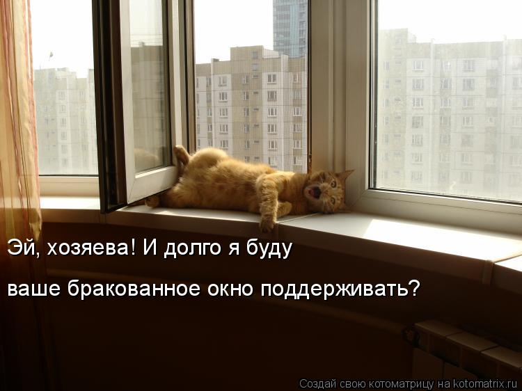 Эй, хозяева! И долго я буду ваше бракованное окно поддерживать?... Котоматрица: Эй, хозяева! И долго я буду ваше бракованное окно поддерживать?
