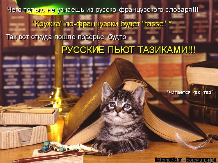 "Кружка" по-французски будет "tasse" * Чего только не узнаешь из русско-французского словаря!!! Так в... Котоматрица: "Кружка" по-французски будет "tasse" * Чего только не узнаешь из русско-французского словаря!!! Так вот откуда пошло поверье, будто РУССКИЕ ПЬЮТ