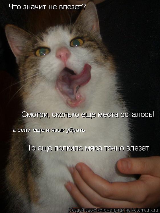 Что значит не влезет? Смотри, сколько еще места осталось! а если еще и язык убрать То еще полкило мяс... Котоматрица: Что значит не влезет? Смотри, сколько еще места осталось! а если еще и язык убрать То еще полкило мяса точно влезет!