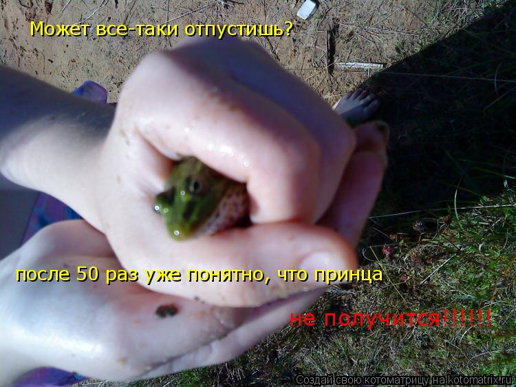 Может все-таки отпустишь? после 50 раз уже понятно, что принца не получится!!!!!!... Котоматрица: Может все-таки отпустишь? после 50 раз уже понятно, что принца не получится!!!!!!
