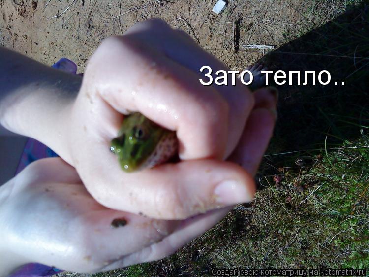 Зато тепло..... Котоматрица: Зато тепло..