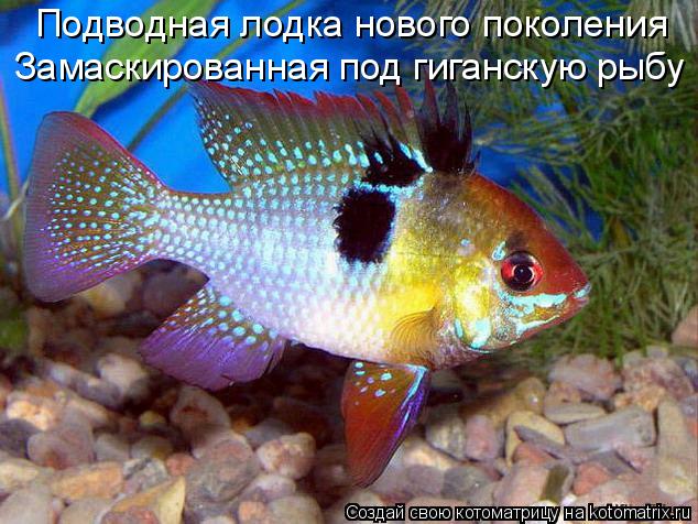 Подводная лодка нового поколения Замаскированная под гиганскую рыбу... Котоматрица: Подводная лодка нового поколения Замаскированная под гиганскую рыбу