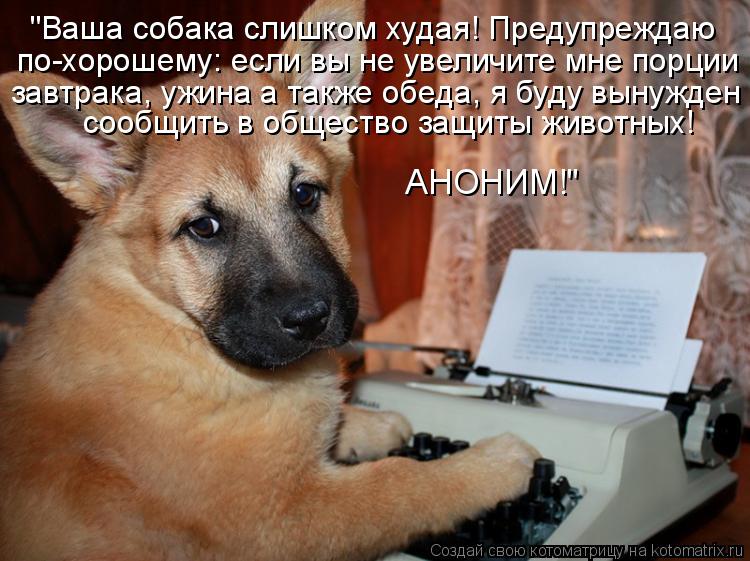 АНОНИМ!" сообщить в общество защиты животных! завтрака, ужина а также обеда, я буду вынужден "Ваша со... Котоматрица: АНОНИМ!" сообщить в общество защиты животных! завтрака, ужина а также обеда, я буду вынужден "Ваша собака слишком худая! Предупреждаю по-хор