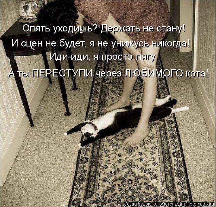 Опять уходишь? Держать не стану! И сцен не будет, я не унижусь никогда! Иди-иди, я просто лягу А т... Котоматрица: Опять уходишь? Держать не стану! И сцен не будет, я не унижусь никогда! Иди-иди, я просто лягу А ты ПЕРЕСТУПИ через ЛЮБИМОГО кота!