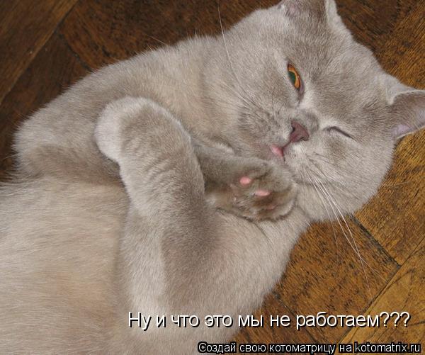Ну и что это мы не работаем???... Котоматрица: Ну и что это мы не работаем???