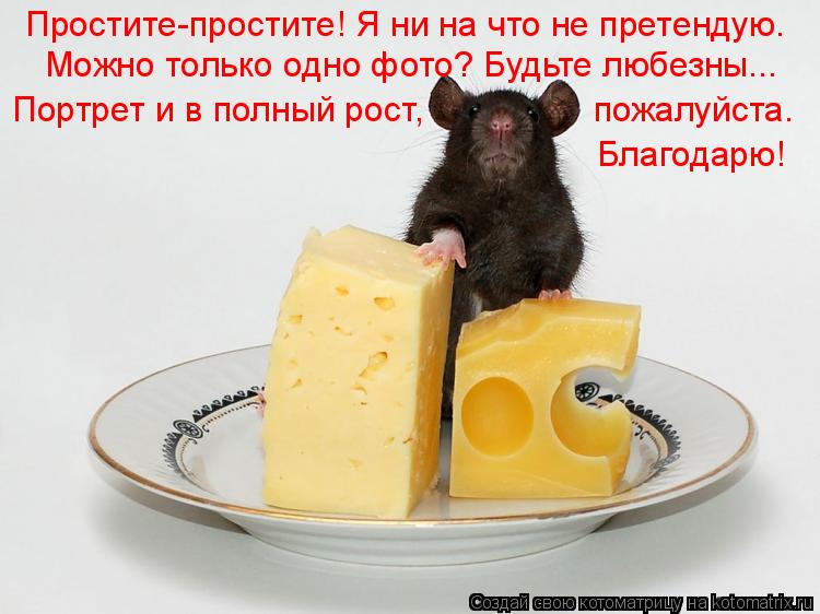Простите-простите! Я ни на что не претендую. Можно только одно фото? Будьте любезны... Портрет и в п... Котоматрица: Простите-простите! Я ни на что не претендую. Можно только одно фото? Будьте любезны... Портрет и в полный рост, пожалуйста. Благодарю!