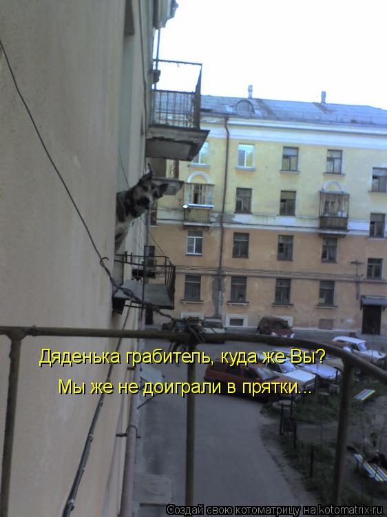Дяденька грабитель, куда же Вы? Мы же не доиграли в прятки...... Котоматрица: Дяденька грабитель, куда же Вы? Мы же не доиграли в прятки...