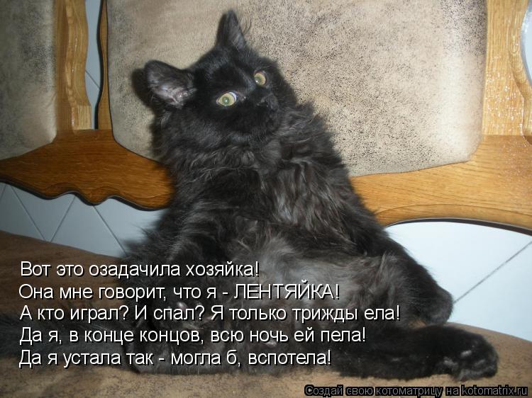 Вот это озадачила хозяйка! Она мне говорит, что я - ЛЕНТЯЙКА! А кто играл? И спал? Я только трижды ел... Котоматрица: Вот это озадачила хозяйка! Она мне говорит, что я - ЛЕНТЯЙКА! А кто играл? И спал? Я только трижды ела! Да я, в конце концов, всю ночь ей пела! Да
