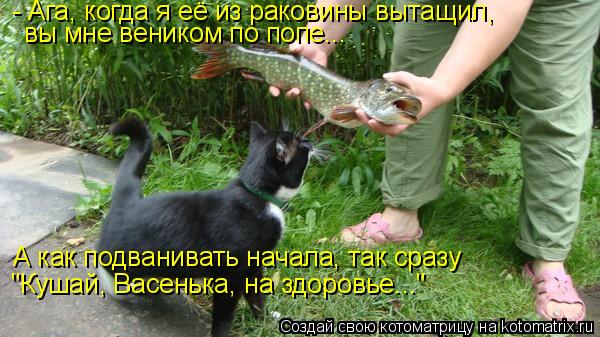 - Ага, когда я её из раковины вытащил, вы мне веником по попе... А как подванивать начала, так сразу ... Котоматрица: - Ага, когда я её из раковины вытащил, вы мне веником по попе... А как подванивать начала, так сразу "Кушай, Васенька, на здоровье..."