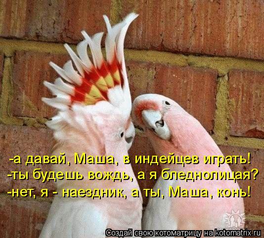 Котоматрица: -а давай, Маша, в индейцев играть! -ты будешь вождь, а я бледнолицая? -нет, я - наездник, а ты, Маша, конь!