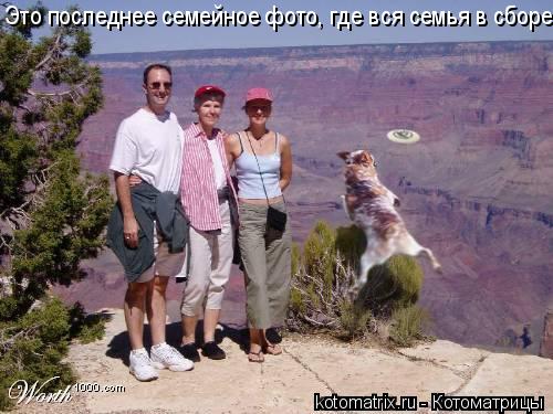 Котоматрица: Это последнее семейное фото, где вся семья в сборе.