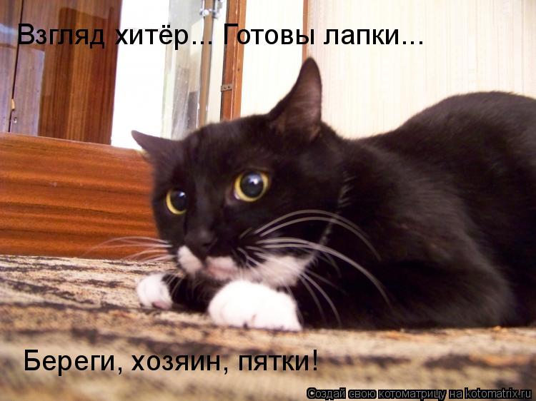 Котоматрица: Взгляд хитёр... Готовы лапки... Береги, хозяин, пятки!