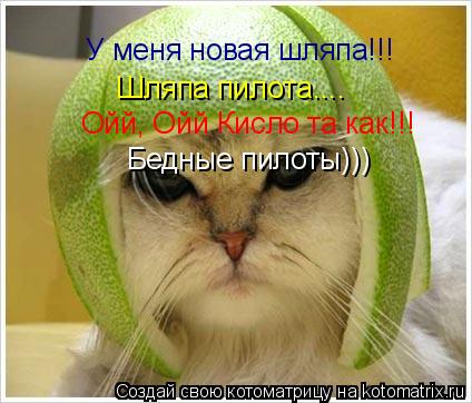 Котоматрица: У меня новая шляпа!!! Шляпа пилота.... Ойй, Ойй Кисло та как!!! Бедные пилоты)))