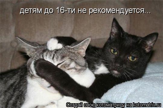 Котоматрица: детям до 16-ти не рекомендуется...