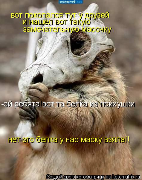 Котоматрица: вот покопался тут у друзей и нашел вот такую замечательную масочку -эй ребята!вот та белка из психушки нет это белка у нас маску взяла!!