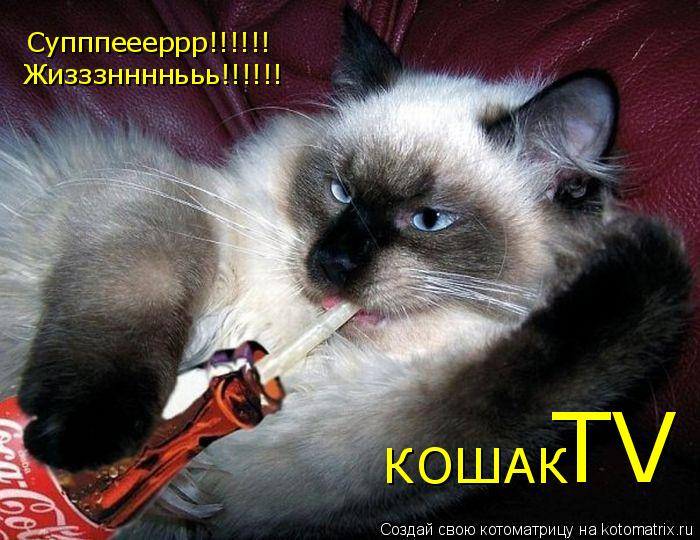 Котоматрица: Супппеееррр!!!!!! Жизззннннььь!!!!!!  TV  КОШАК