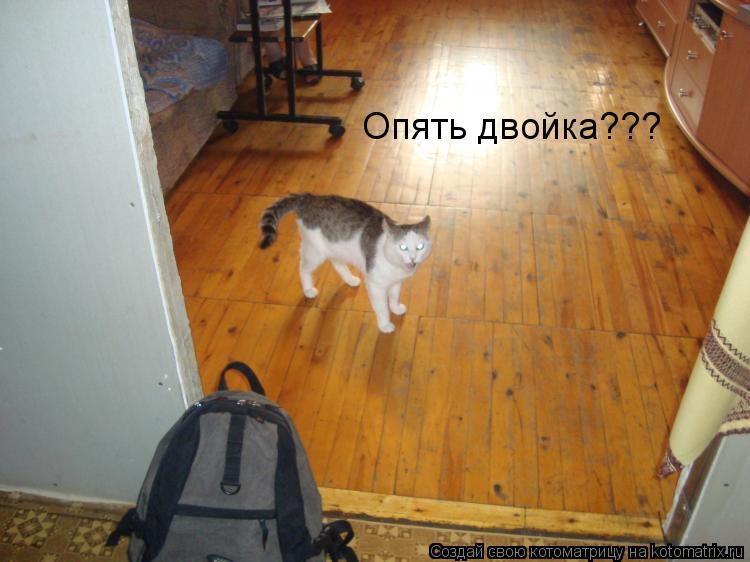 Котоматрица: Опять двойка???