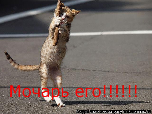 Котоматрица: Мочарь его!!!!!!