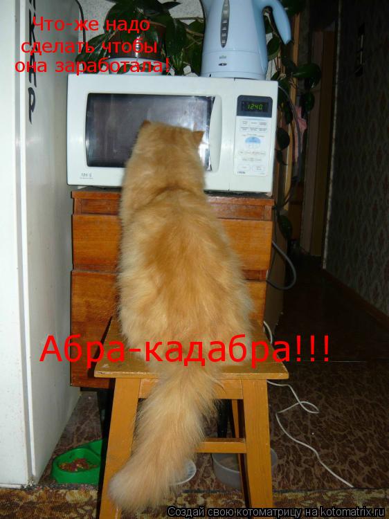 Котоматрица: Что-же надо сделать чтобы она заработала! Абра-кадабра!!!