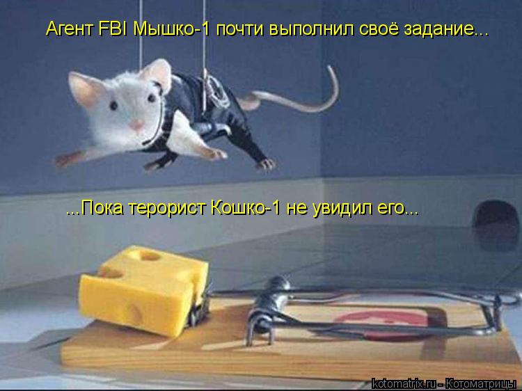 Котоматрица: Агент FBI Мышко-1 почти выполнил своё задание... ...Пока терорист Кошко-1 не увидил его...