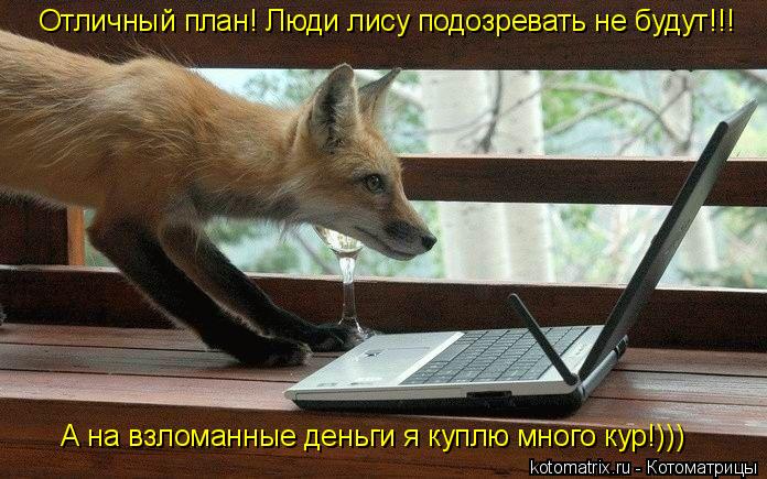 Котоматрица: Отличный план! Люди лису подозревать не будут!!! А на взломанные деньги я куплю много кур!)))