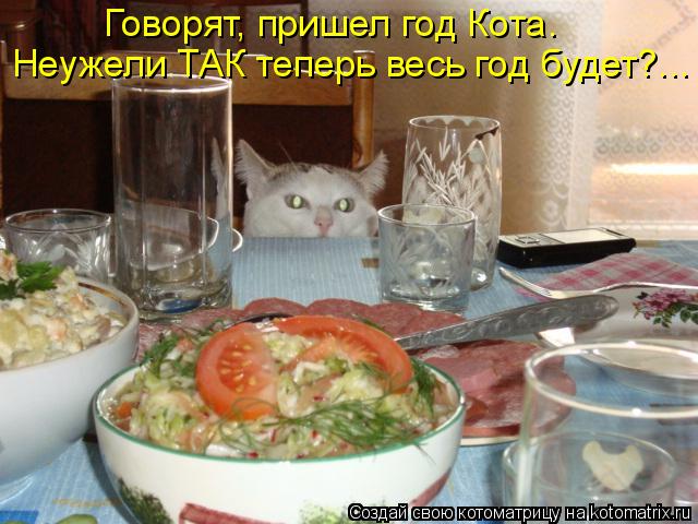 Котоматрица: Говорят, пришел год Кота. Неужели ТАК теперь весь год будет?...