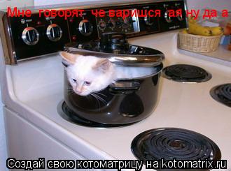 Котоматрица: Мне  говорят  че варишся  ая ну да а  че
