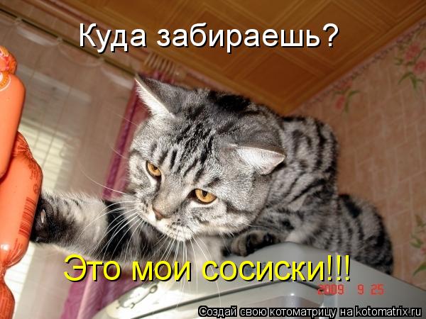 Котоматрица: Куда забираешь? Это мои сосиски!!!
