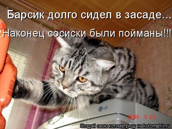 Котоматрица: Барсик долго сидел в засаде... Наконец сосиски были пойманы!!!