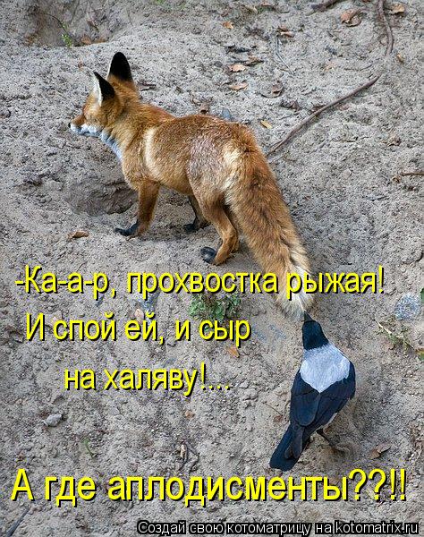 Котоматрица: -Ка-а-р, прохвостка рыжая! И спой ей, и сыр на халяву!... А где аплодисменты??!!