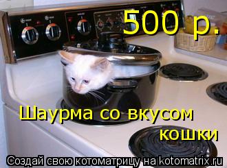 Котоматрица: Шаурма со вкусом кошки 500 р.