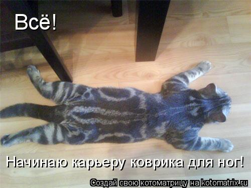 Котоматрица: Всё! Начинаю карьеру коврика для ног!