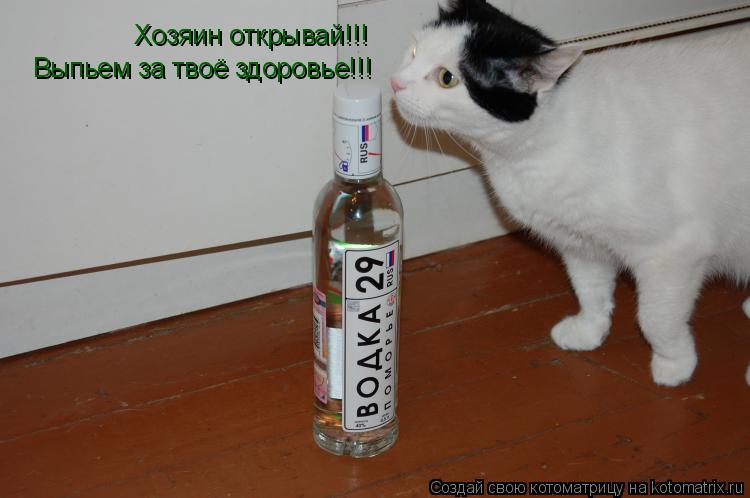 Котоматрица: Хозяин открывай!!! Выпьем за твоё здоровье!!!