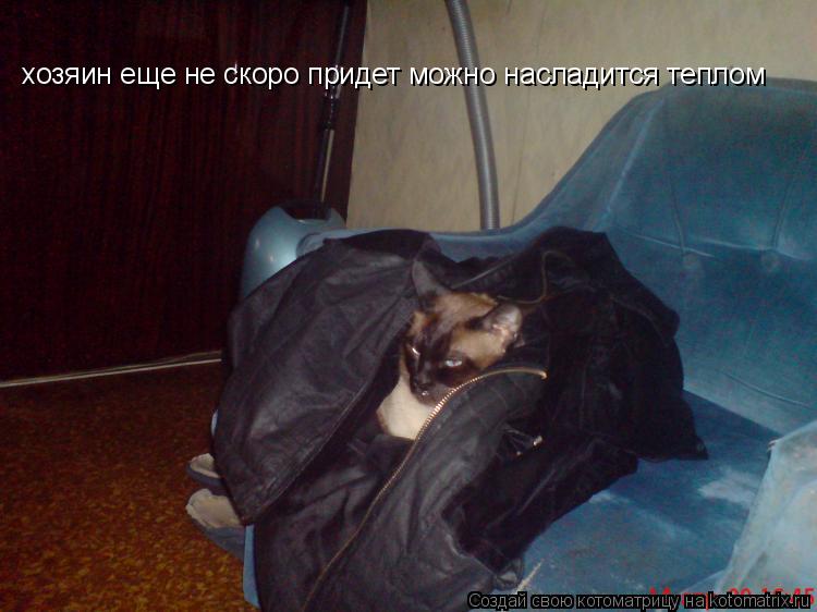 Котоматрица: хозяин еще не скоро придет можно насладится теплом