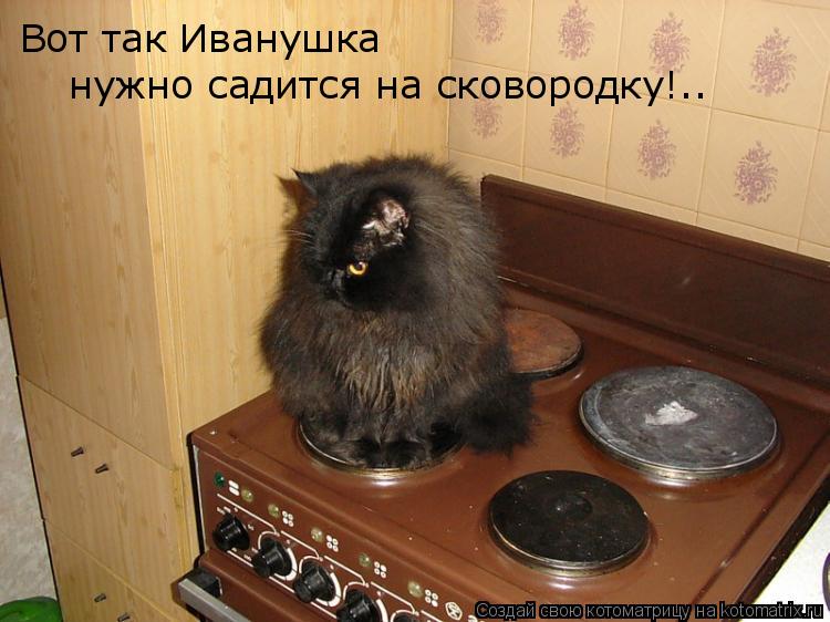 Котоматрица: Вот так Иванушка нужно садится на сковородку!..