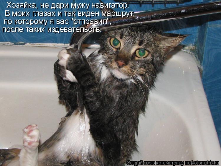 Котоматрица: Хозяйка, не дари мужу навигатор.  В моих глазах и так виден маршрут,  по которому я вас "отправил",  после таких издевательств.