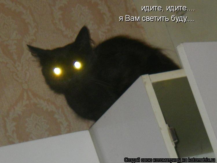Котоматрица: идите, идите.... идите, идите.... я Вам светить буду.... я Вам светить буду....
